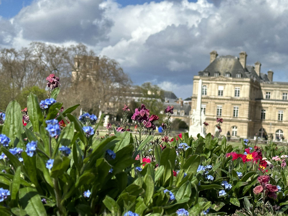 Spring mosaic of flowers in the Luxembourg Garden