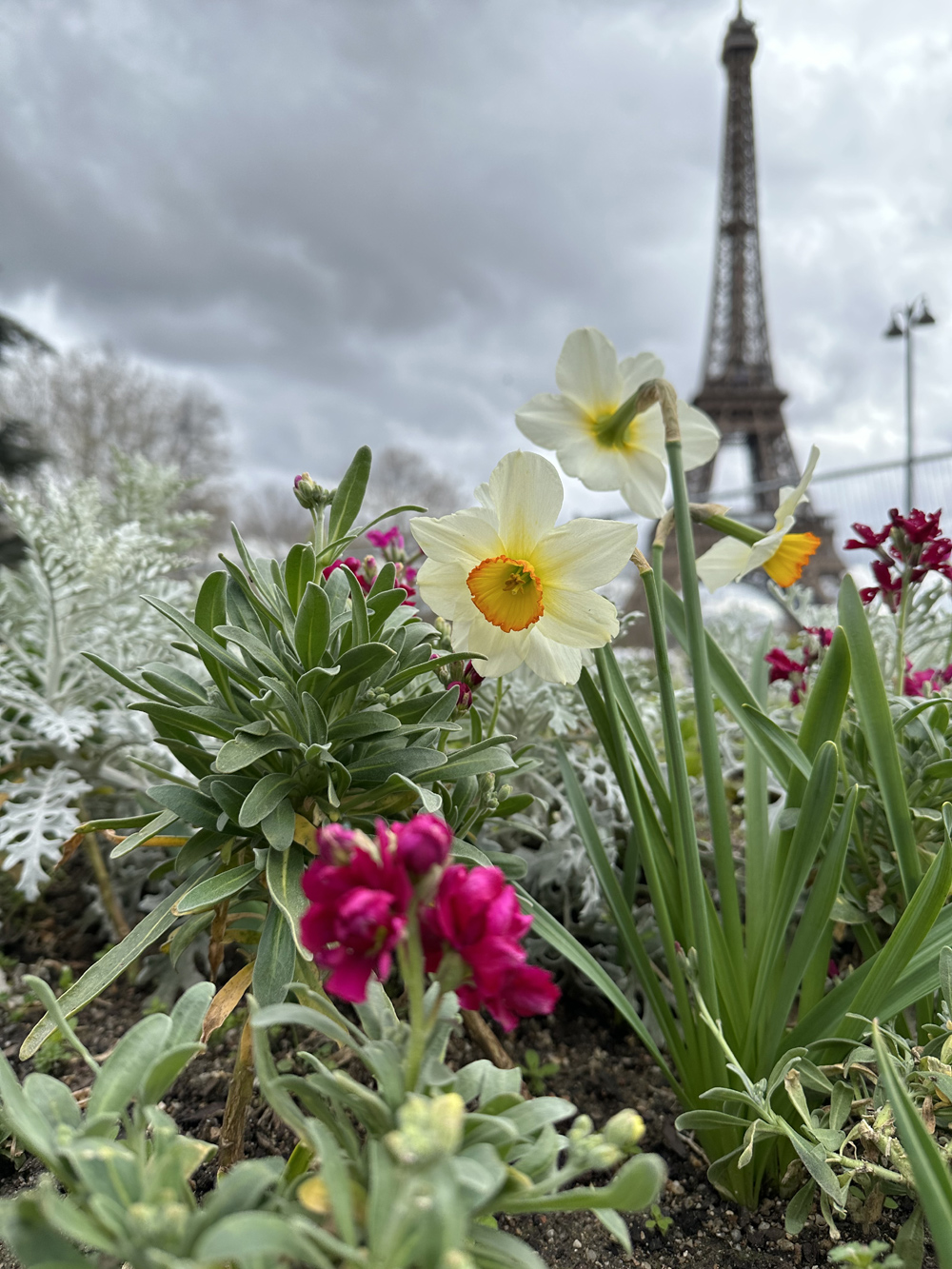 Narcissus admires the Eiffel Tower