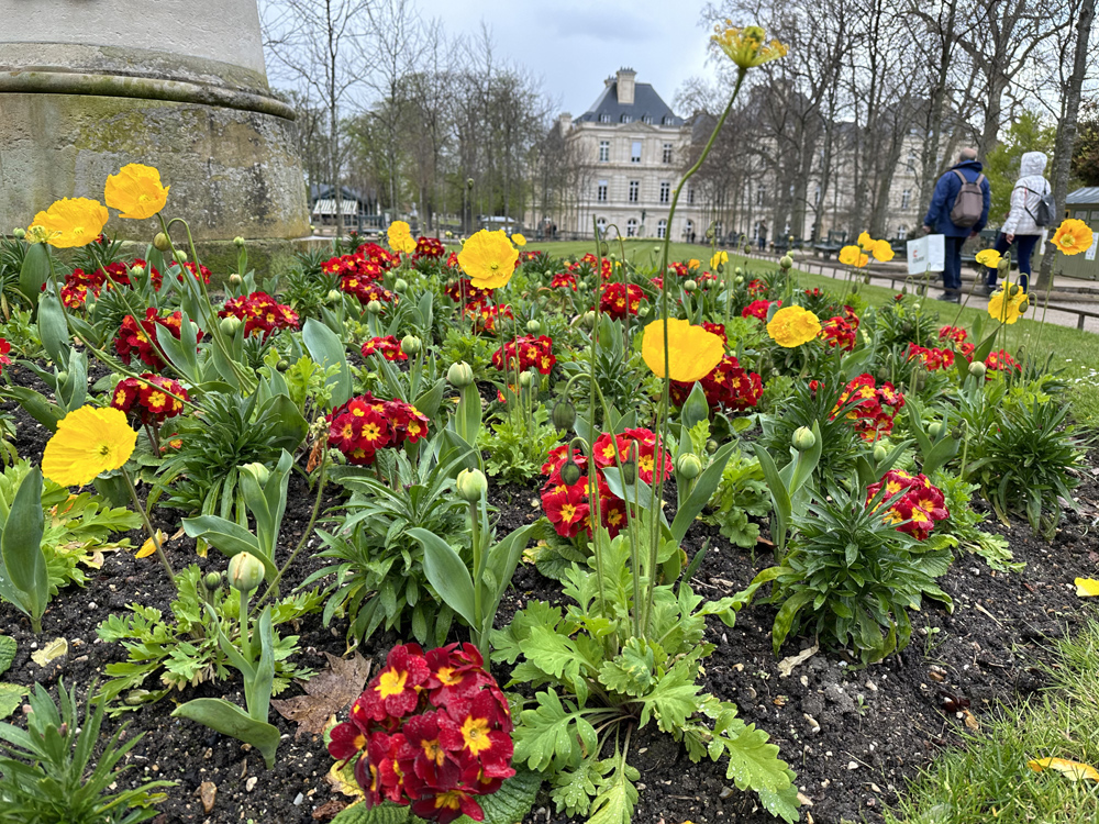 March colors of the Luxembourg Garden